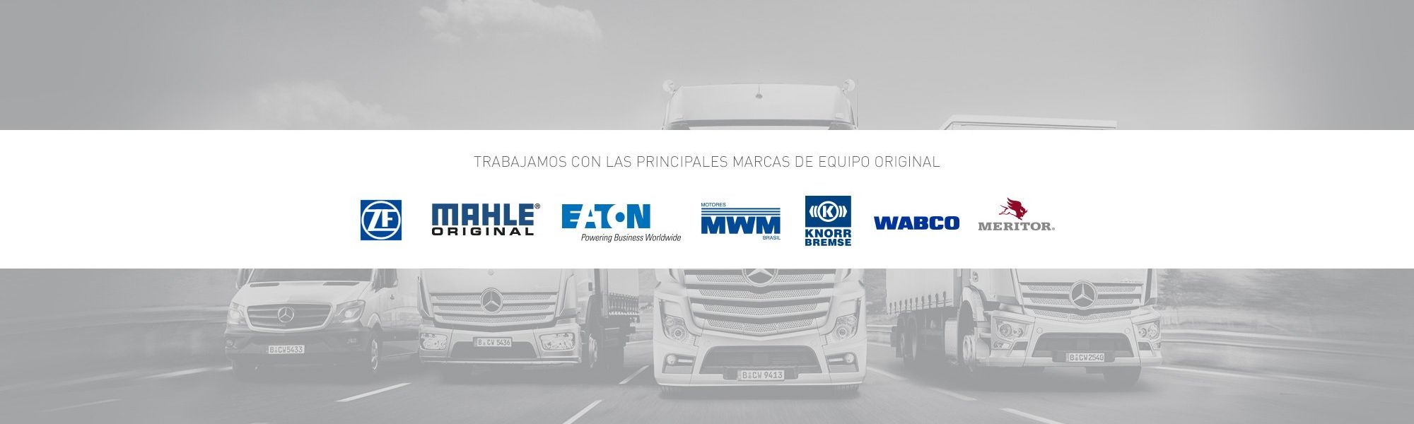 AYALA Webslides 17jul Cabezal02